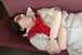 DSC04397