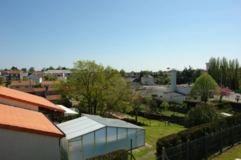 DSC07225