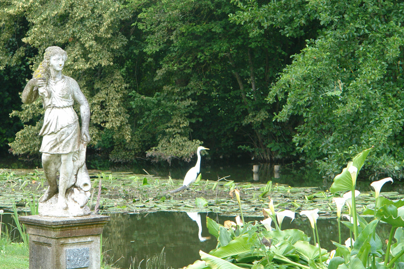 310723 001 Heron